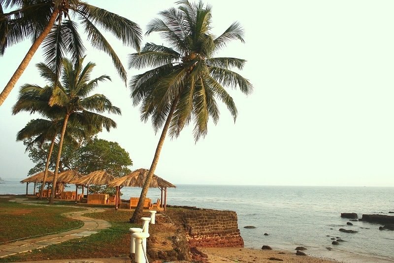 a dose of vitamin sea