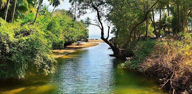 exotic beach in goa