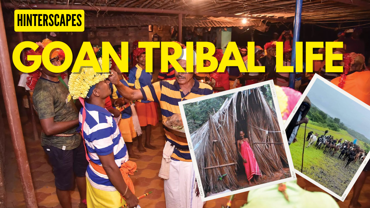 Tribes of Goa, Tribal Life in Goa