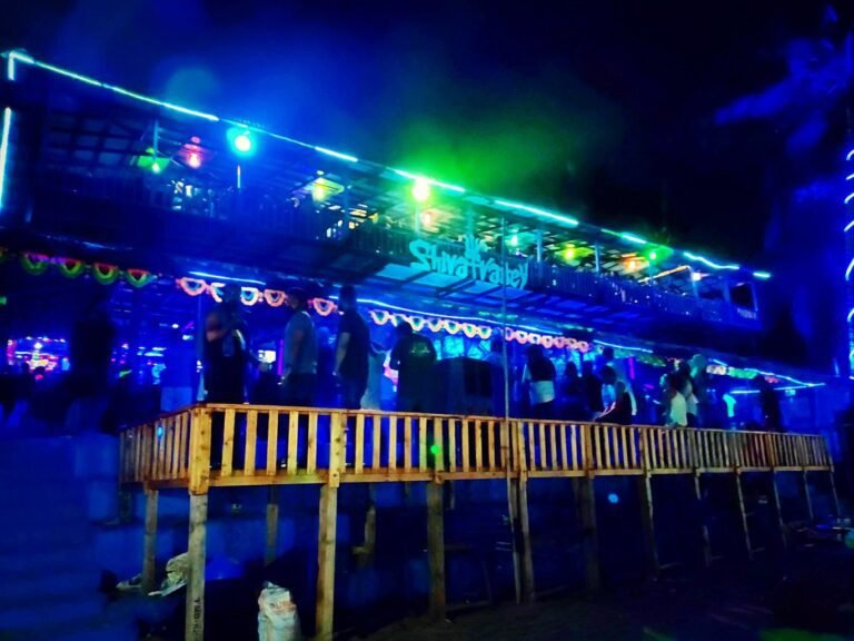 13 Best Clubs in Goa To Dance All Night Long - Nightlife in Goa