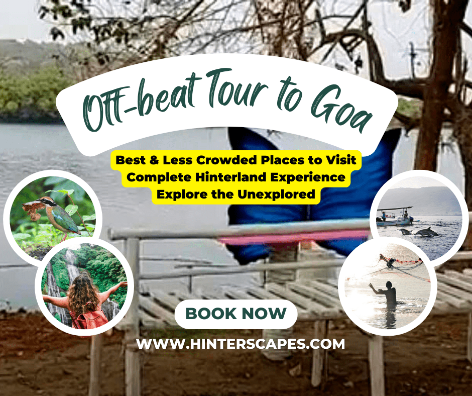 10 Off-beat Activities to Add in Your Goa Itinerary!