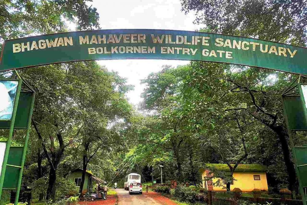 Bhagwan Mahavir Wildlife Sanctuary & Mollem National Park