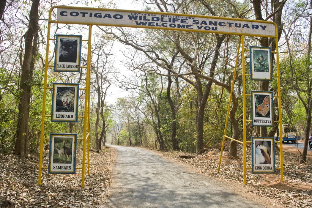 Cotigao Wildlife Sanctuary in South Goa