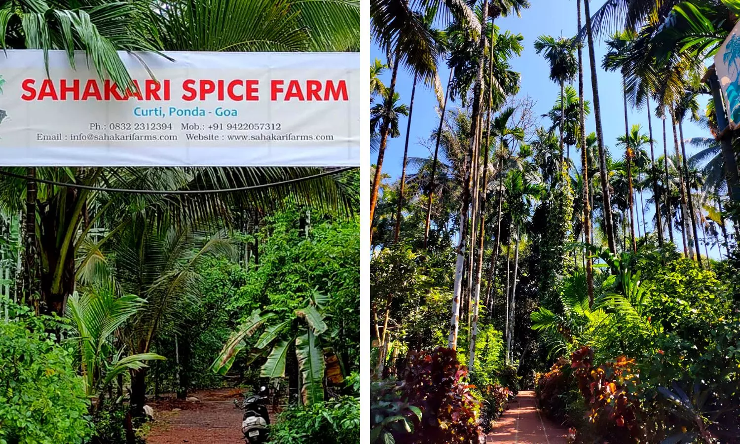 Sahakari Spice Farm in Ponda, Goa