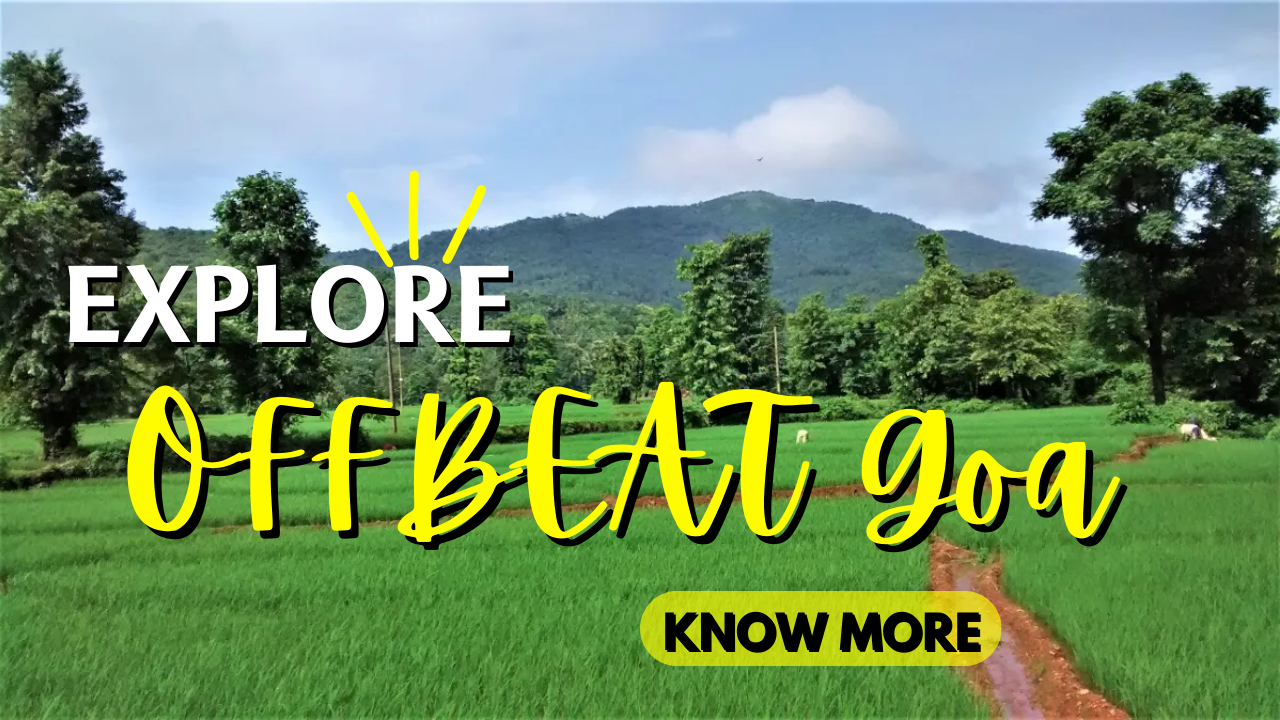 Best Offbeat Tours in Goa | Explore Offbeat Goa Beyond Beaches