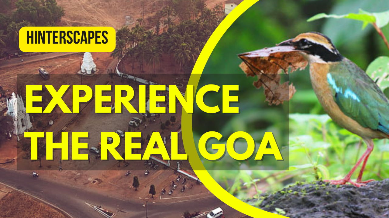 Step Back in Time: Discovering 5 Charming Villages in Goa