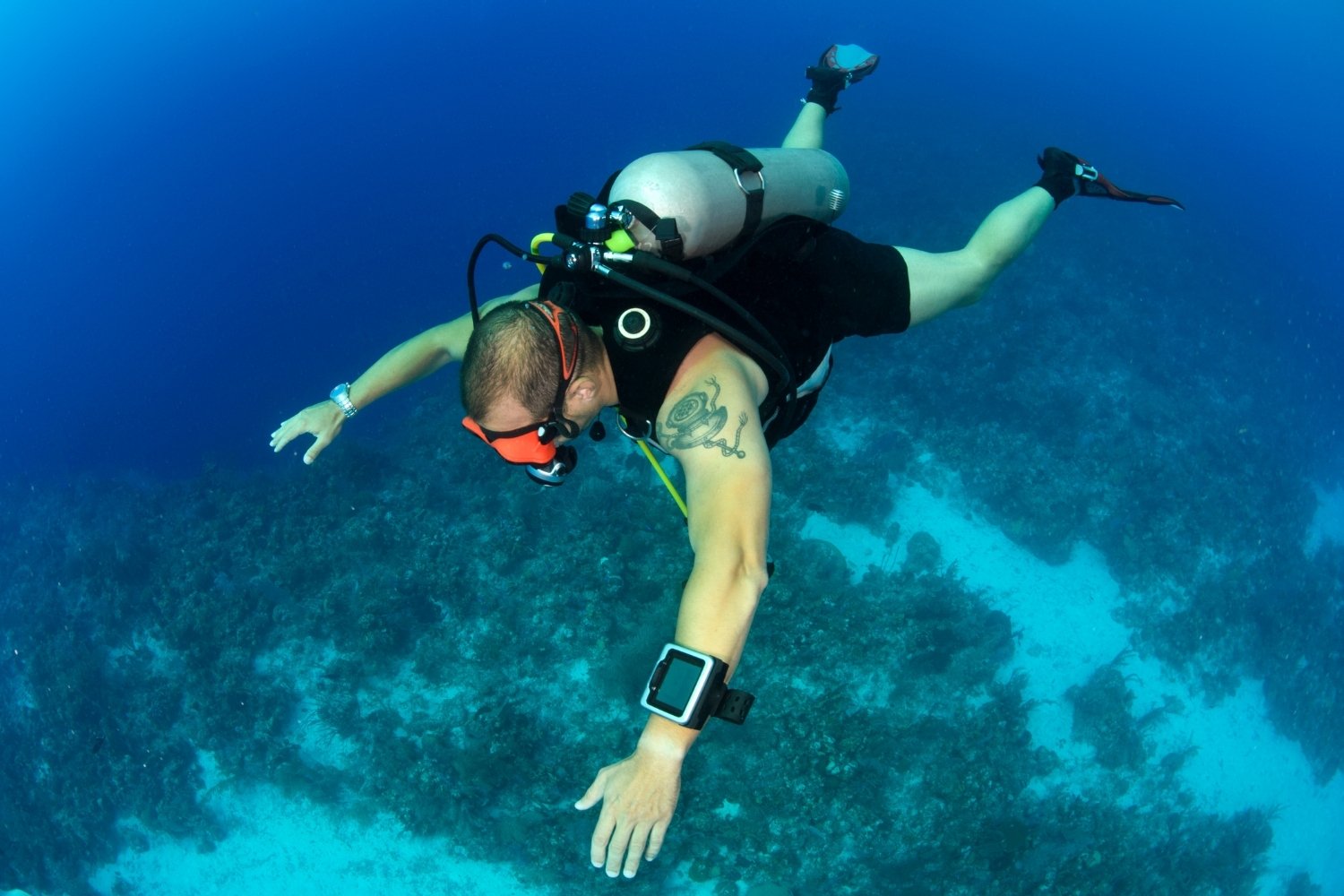 scuba diving goa cost